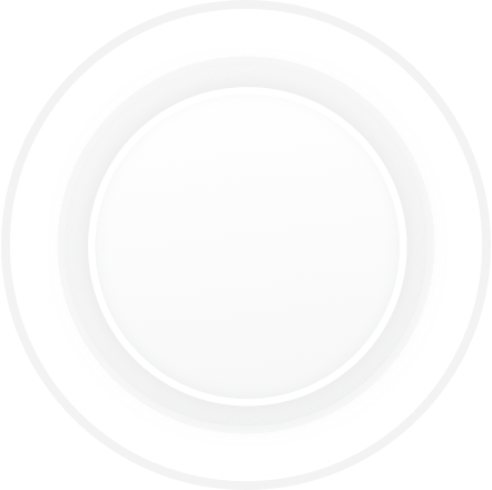 Performance accessibility ring indicator in light mode