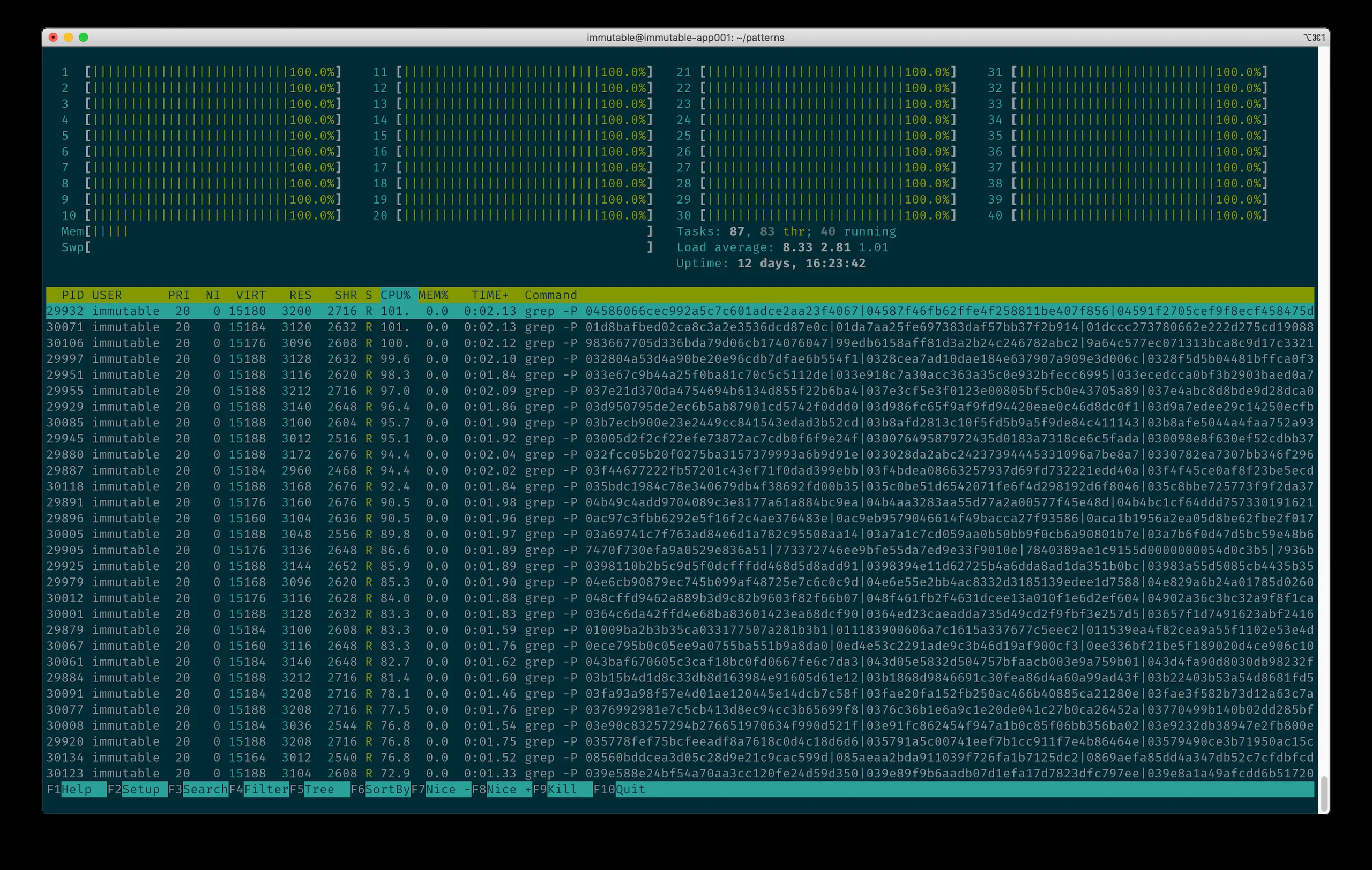 Server Utilization of the Lets Encrypt checks