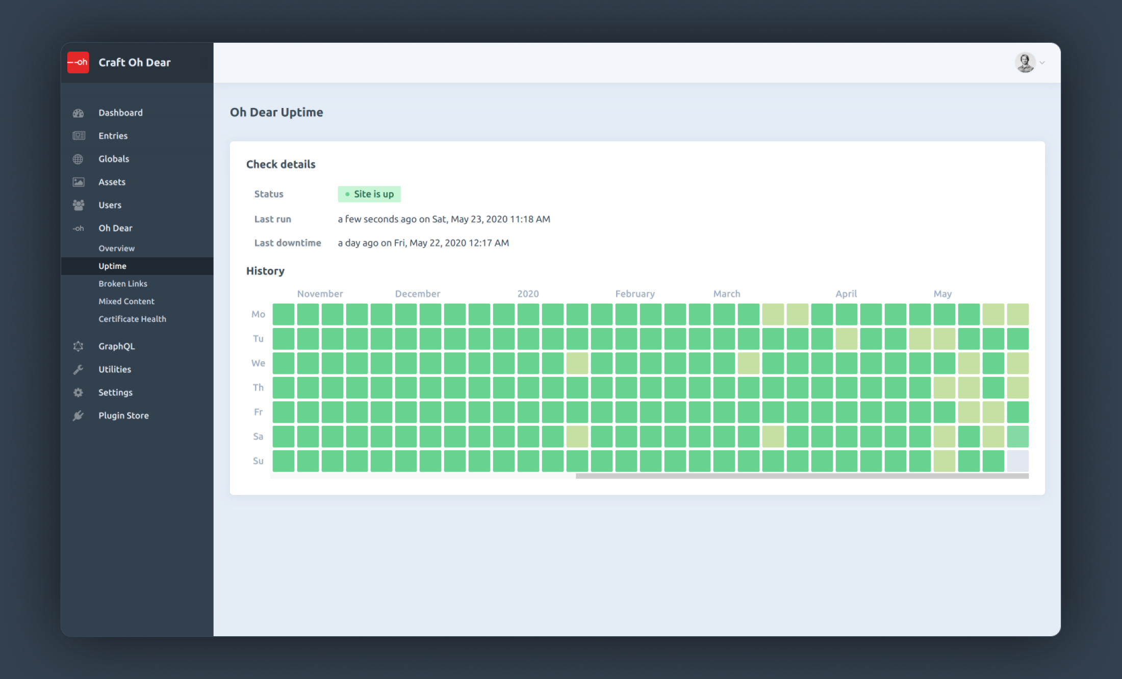 Overview of the uptime monitoring in CraftCMS